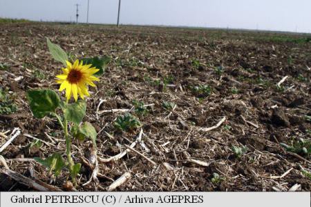 CE: Fermierii din România primesc sprijin pentru combaterea problemelor climatice