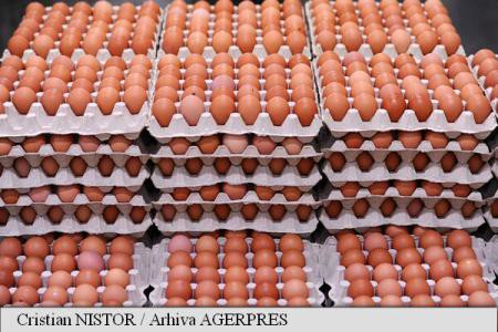 Prețul ouălor a crescut la poarta fermei cu 24% în luna octombrie; „criza fipronilului“ a distorsionat piața