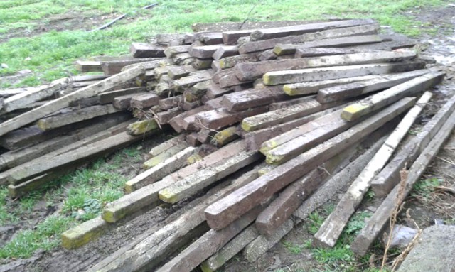 Doi tineri au furat spalieri de beton de la o fermă de viţă de vie din Medgidia