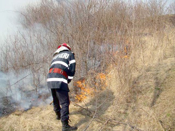 Incendiu de vegetaţie la intrare în localitatea Ovidiu