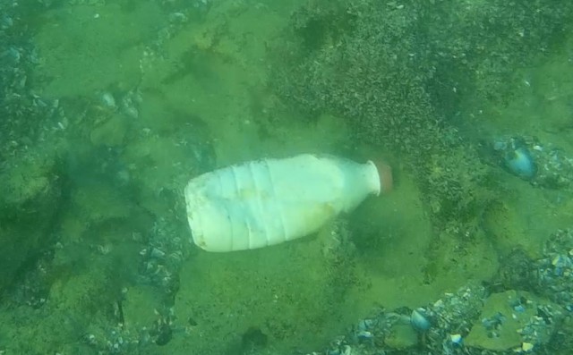 ALARMANT! Mizeria pune stăpânire pe adâncurile Mării Negre