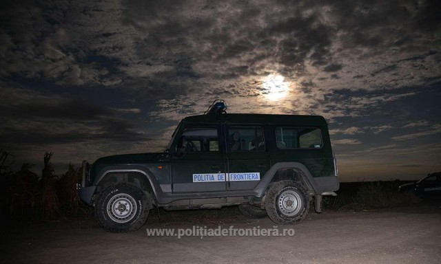 Doi marocani și un algerian, depistați într-un lan de porumb de polițiștii constănțeni