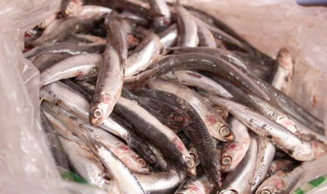 Controale ANSVSA: vizate sunt produsele din peşte şi pescuit