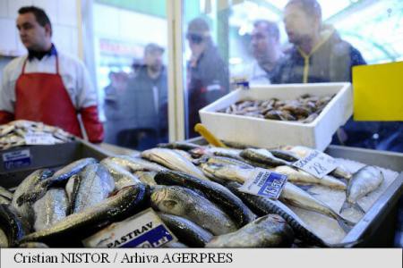 ANSVSA controlează comercianții și procesatorii de pește