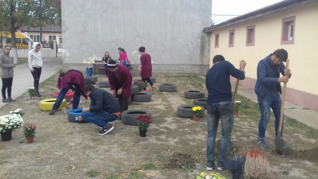 Elevii au înfrumusețat școlile din Cogealac și Râmnicu de Jos