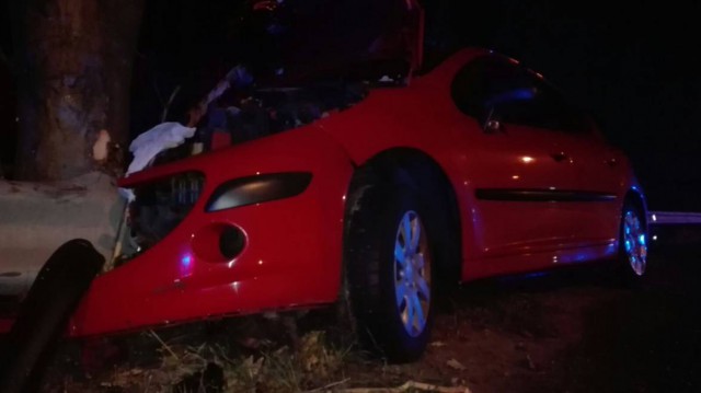 Viteză pe carosabil umed: a intrat cu maşina în pom, la Eforie!