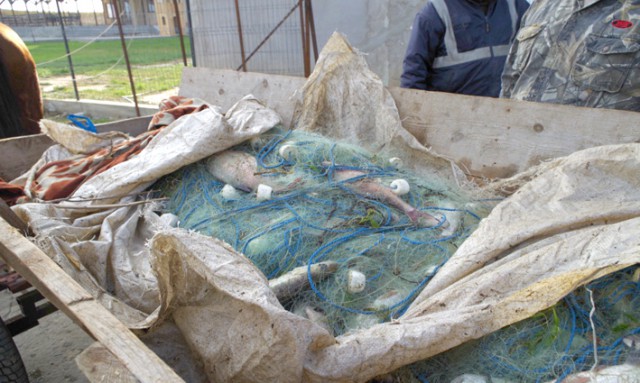 Peste 220 kg peşte fără documente legale şi plase monofilament, confiscate de poliţiştii de frontieră