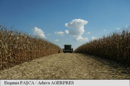 Peste 735.000 de fermieri și-au primit avansul din subvenția pe suprafață; 902 milioane de euro, în conturile fermierilor