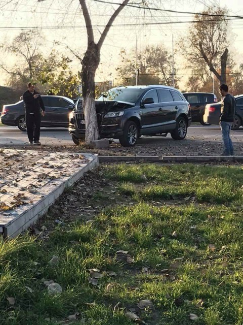 Accident în zona Butoaie din Mamaia: un Q7 versus un copac. De vină ar fi o blondă!
