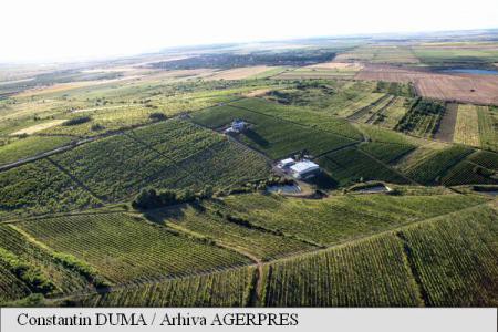 Trecerea la o agricultură 100% bio va fi imposibilă fără schimbări majore
