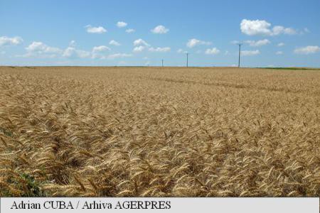 România, a opta putere agricolă a UE în 2016