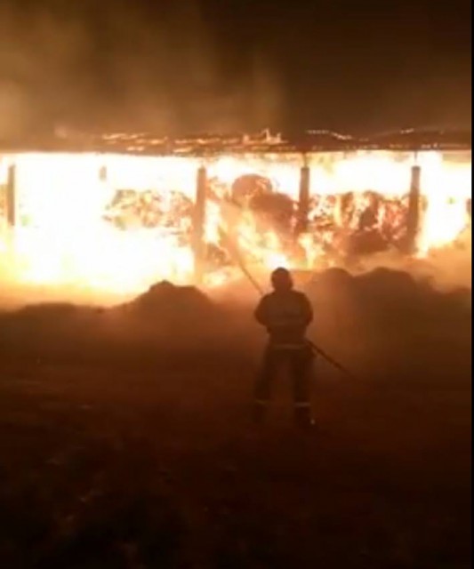 Pompierii s-au chinuit toată noaptea să stingă focul de la Herghelia Mangalia