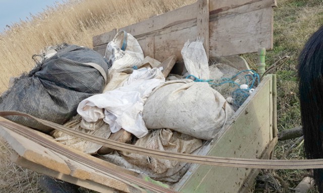 190 kilograme de peşte fără documente legale, confiscate la Tulcea