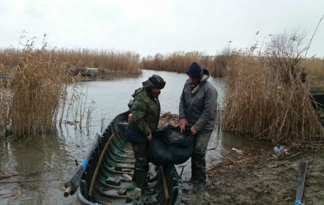 155 kilograme de peşte fără documente legale, confiscate de poliţiştii de frontieră tulceni