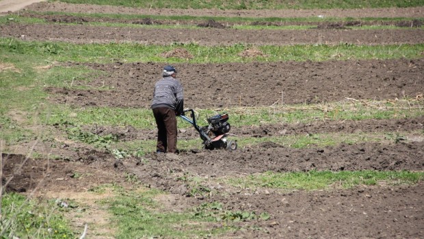 O femeie revendică 33 de hectare de teren din Cotu Văii şi o gospodărie, despre care susţine că au fost confiscate de comunişti de la familia sa