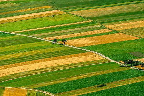 Plata regulară aferentă Campaniei 2017, reluată; 16.148 fermieri sunt autorizaţi la plată