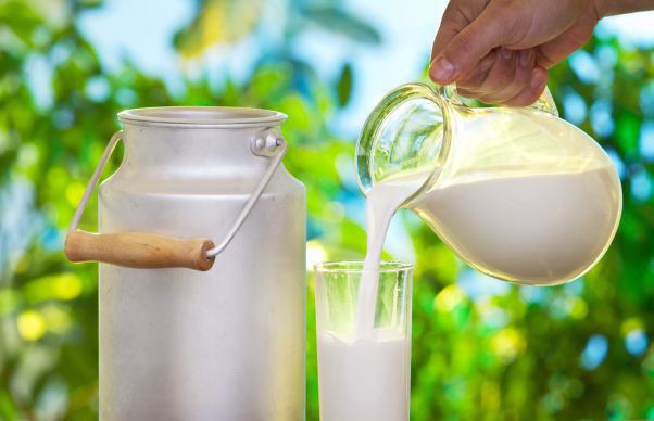 Importurile de lapte brut, în creştere cu 3,2%; laptele colectat de la producători s-a majorat cu 7,6%