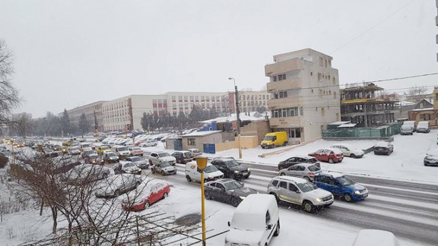NINSOARE, LAPOVIŢĂ şi VÂNT PUTERNIC în Dobrogea!