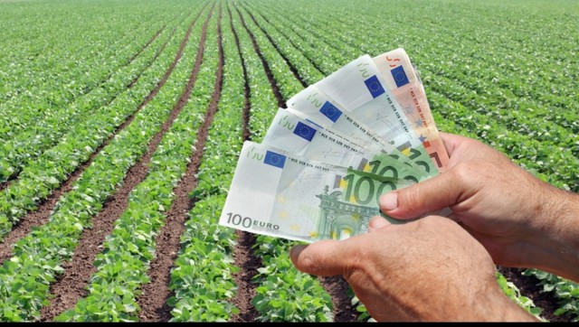 Fermierii pot primi un sprijin financiar de până la 1.500 de euro/an pentru comasarea terenurilor agricole