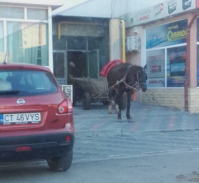 Parchez ca un bou... căruţa! Un atelaj a blocat accesul într-o scară de bloc