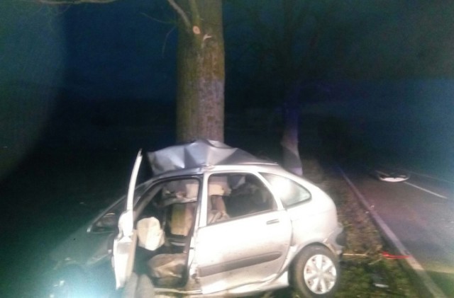 ACCIDENT GRAV în Tulcea: un bărbat A MURIT