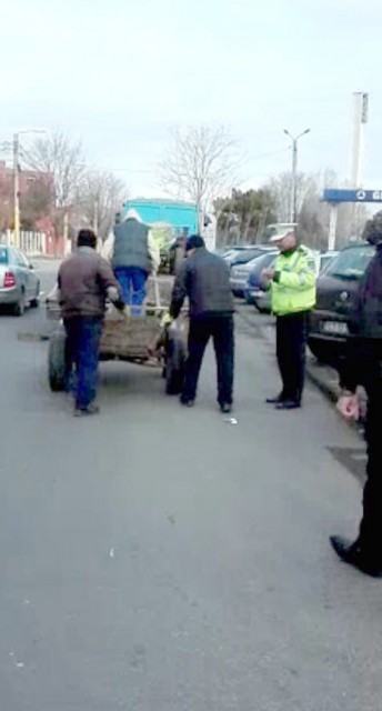 Poliţia Locală Constanţa A ÎNCEPUT SĂ MIŞTE în privinţa căruţaşilor! 4 atelaje ridicate într-o singură zi