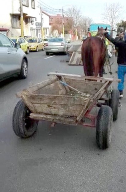 Poliţia Locală a aplicat mai multe sancţiuni pentru căruţaşi în acest weekend