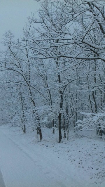 COD GALBEN de ninsori, vânt și frig, la Constanța; avertizare ANM este valabilă până luni dimineața