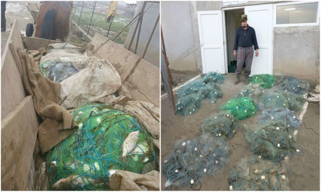 Peste jumătate de tonă de peşte braconat, descoperit de poliţişti