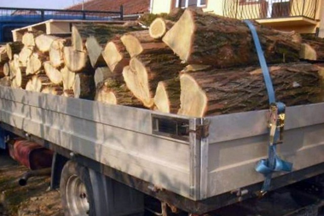 Peste 1.000 de metri cubi de material lemnos confiscaţi de poliţişti; sancţiuni de peste 700.000 lei