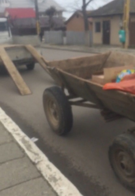 Patru căruțași sancționați în ultima săptămână, la Constanța
