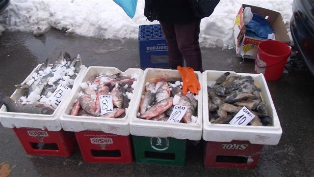 Depistată de jandarmii constănțeni în timp ce comercializa ilegal peşte