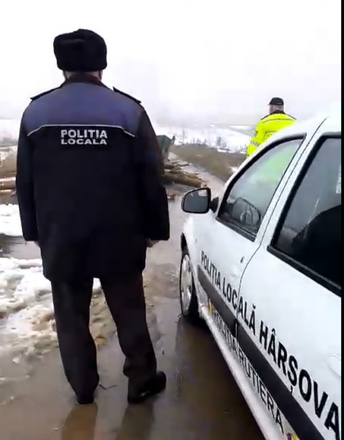 Hoţi de lemne, prinşi de poliţiştii locali la Hârşova; unul dintre ei şi-a abandonat căruţa şi a fugit FOTO/VIDEO