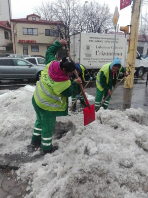 FOTO. Continuă strângerea zăpezii din Constanța! Primăria pune la dispoziția constănțenilor mai multe telefoane pentru reclamații!