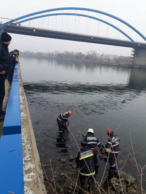 Femeia care a MURIT după ce s-a aruncat de pe pod lucra la Primăria Medgidia!