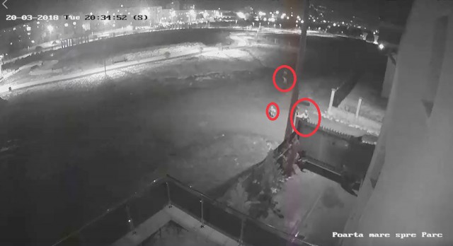 Un copil a fost ATACAT de câini în Mangalia – VIDEO