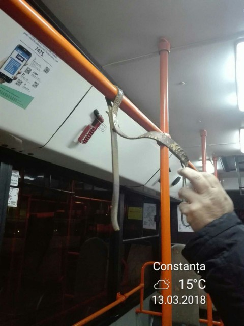 Protecția Consumatorilor a verificat autobuzele RATC! Ce spune conducerea Regiei