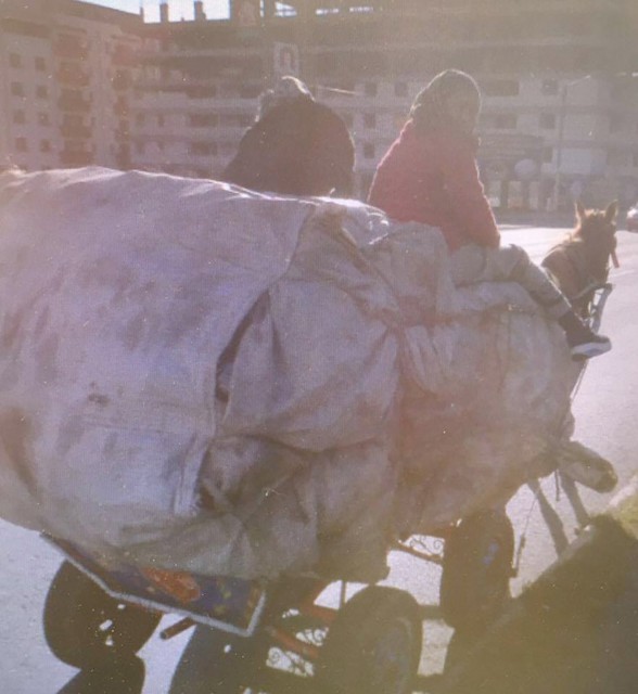 Un constănţean a chemat întăriri să scape de Poliţia Locală! VIDEO