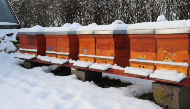 Circa 85% dintre stupine nu au fost afectate de gerul din această primăvară