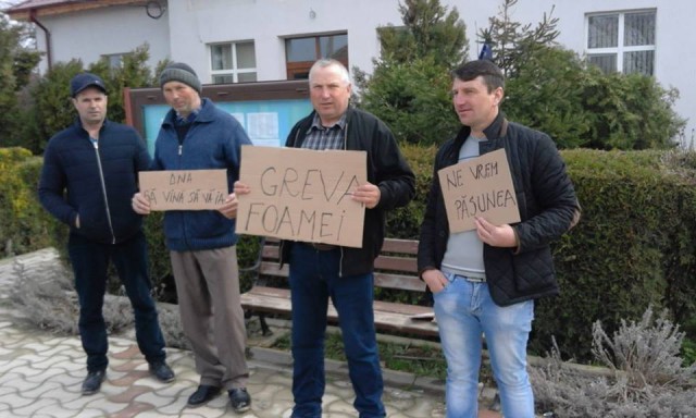 Pășunea, motiv de vrajbă în comuna Săcele, între primar și fermieri. Ce spune Oficiul de Cadastru Constanța