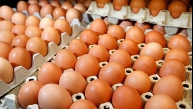 UCPR: Producătorii de ouă investigaţi de Consiliul Concurenţei au acoperit 7% din piaţă anul trecut