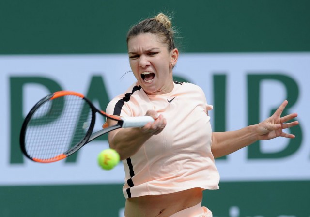 APEL către Simona HALEP, să intervină în apărarea câinilor maidanezi din județul Constanța!