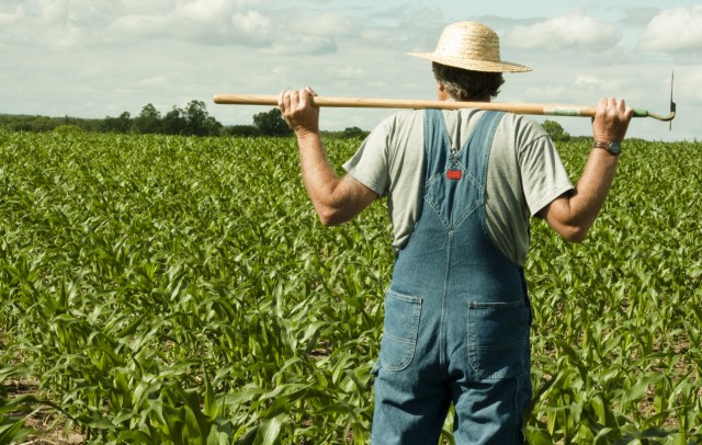 AFIR: 3.625 de fermieri au solicitat peste 1,5 miliarde euro pentru investiţii în exploataţii agricole, în perioada 2015-2018