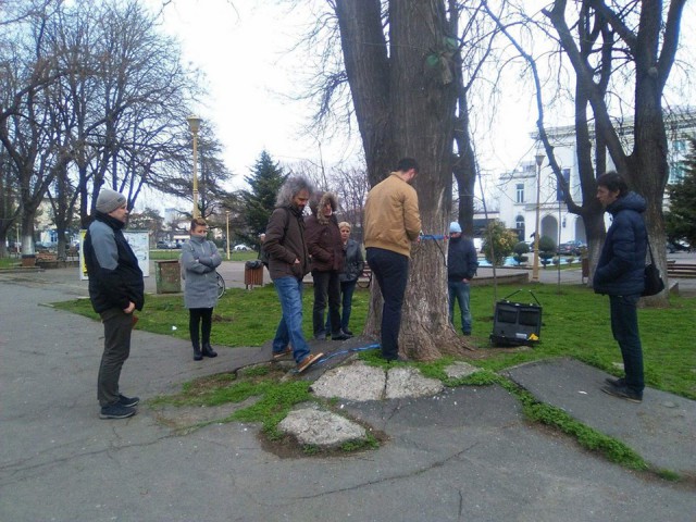 GALERIE FOTO. „Tomograf” pentru copaci, testat de Primăria Constanța