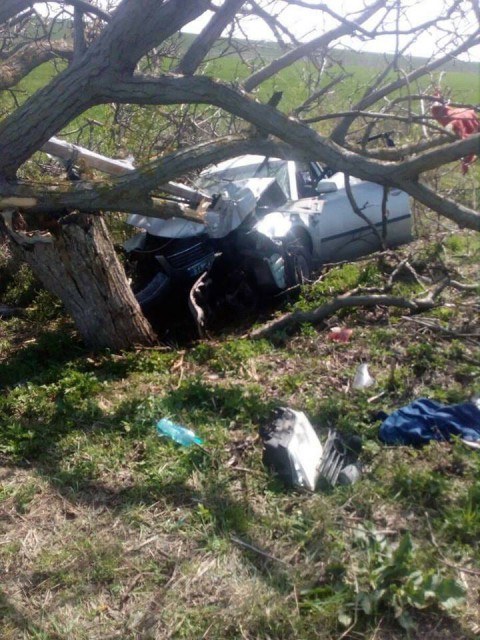 A intrat cu mașina în copac, la Constanța!