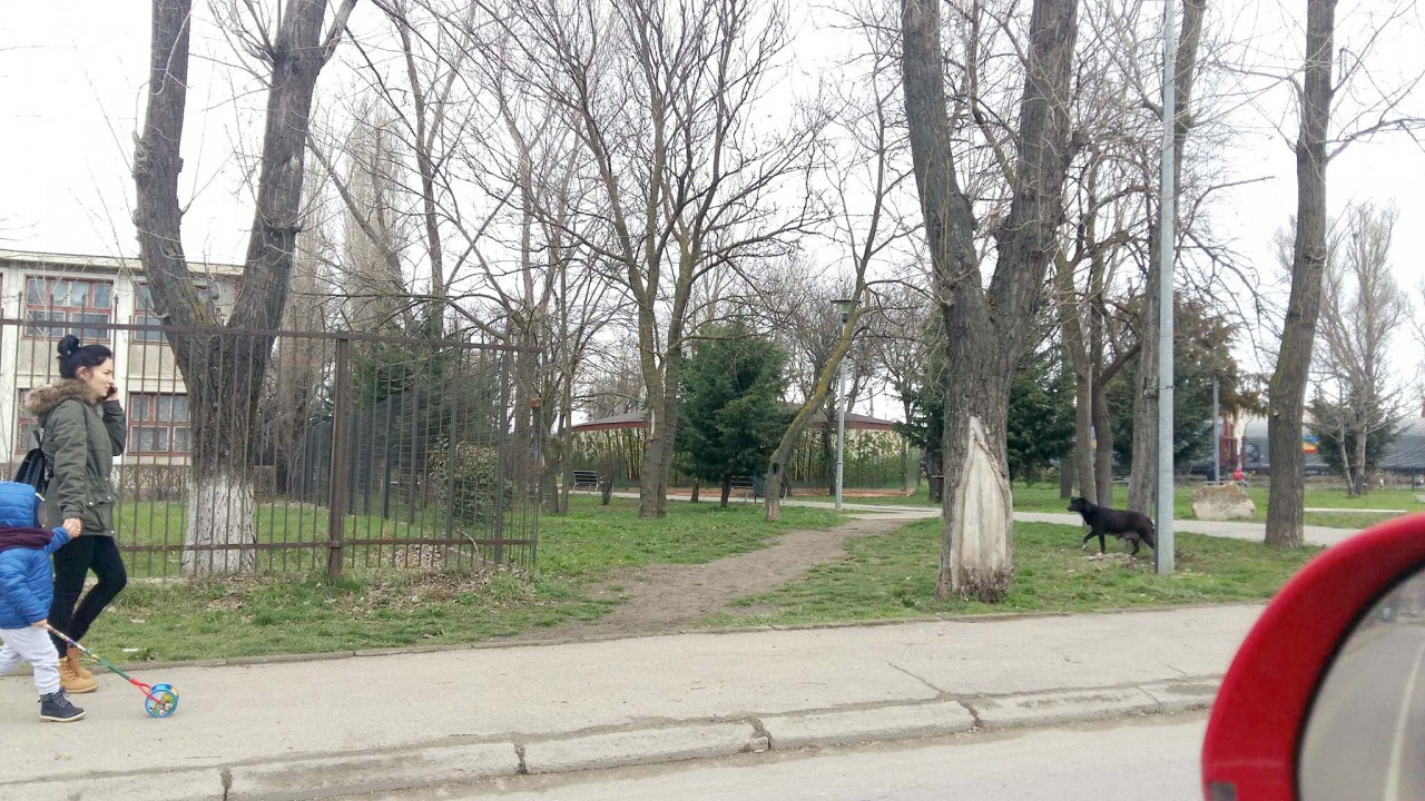 Ce are în plan Primăria Constanţa cu terenurile de sport şi mobilierul urban Ce are în plan Primăria Constanţa cu terenurile de sport şi mobilierul urban