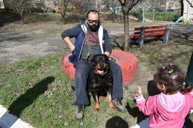 Amira, o căţeluşă salvată de la moarte de un poliţist, i-a încântat pe micuţii de la Centrul de zi pentru copiii cu autism Constanţa