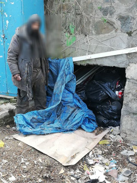 Somaţii pentru desfiinţarea adăposturilor pentru câini, în Mamaia!