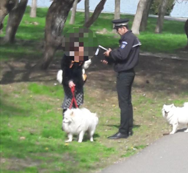 Un bărbat care urina în public şi o femeie care plimba 5 câini în parc, AMENDAŢI de Poliţia Locală