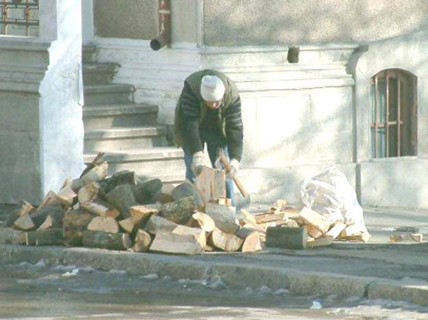 PARADOX! Direcții silvice AMENDATE pentru deținere de material lemnos FĂRĂ DOCUMENTE!